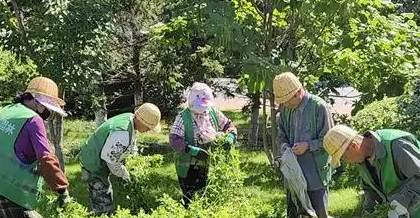 园林绿化养护内容